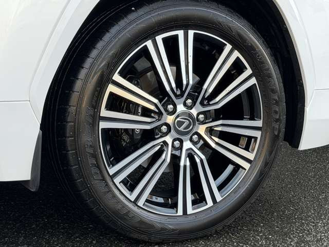 �y�I�v�V�����z22�C���`�A���~�z�C�[���E���N�T�X���S����u���b�N�L�����p�[�B