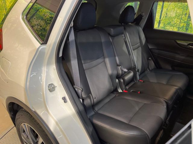 �㕔���Ȃ��C�ɂȂ�悤�ȃL�Y�E�����ւ��蓙�A�傫�ȃ_���[�W�͂Ȃ��A�ǍD�ȏ�Ԃł��B