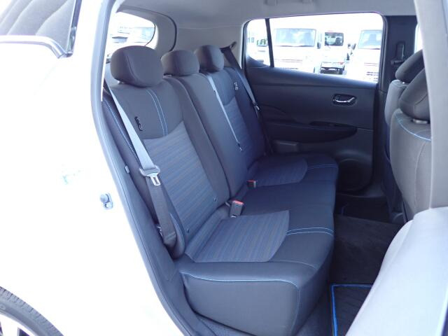 �㕔���Ȃ��傫�ȎC����Ȃ���ԗǍD�ł��B