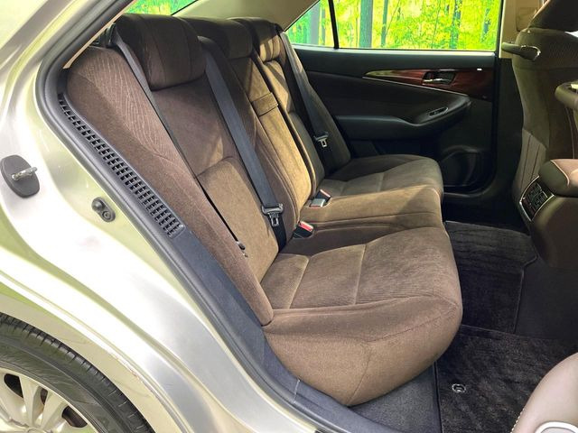 �㕔���Ȃ��C�ɂȂ�悤�ȃL�Y�E�����ւ��蓙�A�傫�ȃ_���[�W�͂Ȃ��A�ǍD�ȏ�Ԃł��B