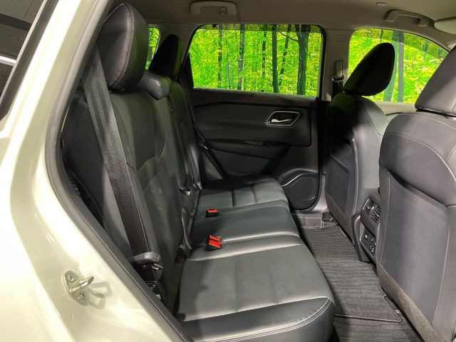 �㕔���Ȃ��C�ɂȂ�悤�ȃL�Y�E�����ւ��蓙�A�傫�ȃ_���[�W�͂Ȃ��A�ǍD�ȏ�Ԃł��B