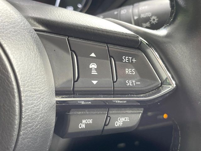 �y�}�c�_�E���[�_�[�N���[�Y�R���g���[���z�������H�ł̒��������s���y��!�����ő��x��ۂN���[�Y�R���g���[�����A�Փˌy���V�X�e���ƘA�g���A�O���̎ԗ������m���ĎԊԂ�ۂ悤�ɑ��x���߂��Ă���܂�!!