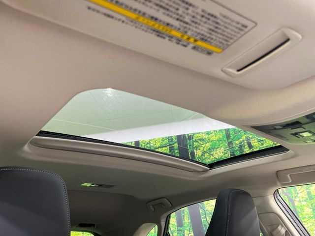 �y�T�����[�t�z�J���������Ղ�̊󏭑����A�T�����[�t����������Ă��܂�!�ԓ��ɖ�����������ꂽ��i�F���y���ވȊO�ɂ��A�ԓ��̋�C���ȒP�Ɋ��C�ł��ĉ��K�ł�!