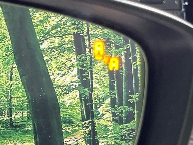 �y�u���C���h�X�|�b�g���j�^�����O�z���s���A�h�A�~���[�̎��p�ɂȂ�₷���ӏ��Ɍ㑱�Ԃ��ڋ߂���ƃT�C�h�~���[�t�߂Ɍx����\���A�h���C�o�[�ɒ��ӊ��N�����Ă���܂��B