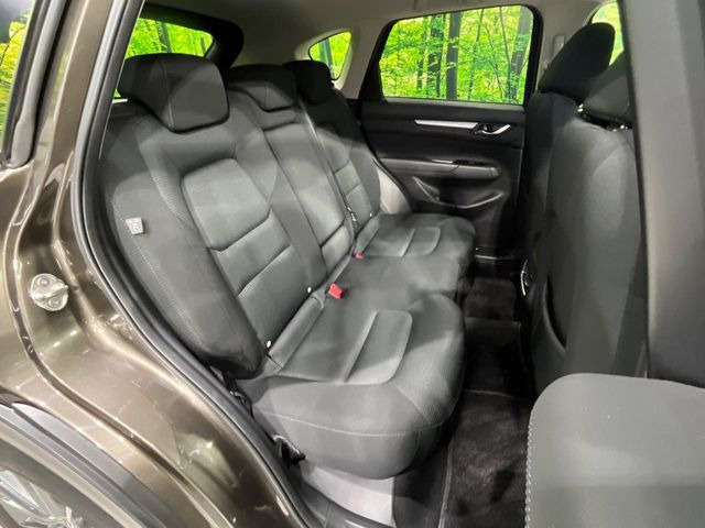 �㕔���Ȃ��C�ɂȂ�悤�ȃL�Y�E�����ւ��蓙�A�傫�ȃ_���[�W�͂Ȃ��A�ǍD�ȏ�Ԃł��B