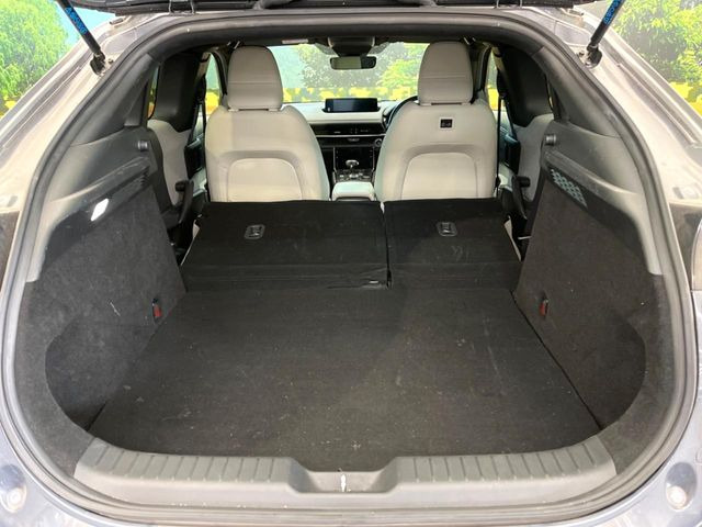 ���i�̂���������ʋ΁A���}���ɏ\���ȉ׎��X�y�[�X���m�ۂ��Ă���܂��B�Z�J���h�V�[�g��|���ƁA�傫�ȉו��̐ύڂ��\�ł���