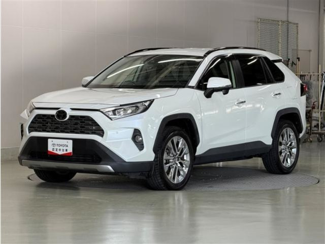 RAV42.0 G Zパッケージ 4WD