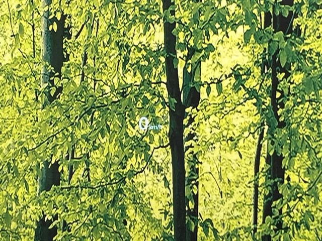 �y�w�b�h�A�b�v�f�B�X�v���C�z���݂̑��x�⑖�s�����f�W�^���\���ŉ^�]�ȑO���̃K���X�ɓ��e!�^�]���A�ڐ������炳���K�v�ȏ����m�F�ł���̂łƂ��Ă��֗��ň��S!