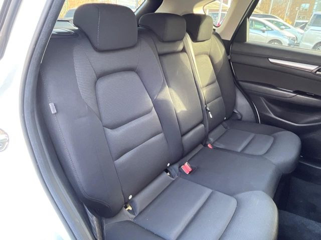 �㕔���Ȃ��C�ɂȂ�悤�ȃL�Y�E�����ւ��蓙�A�傫�ȃ_���[�W�͂Ȃ��A�ǍD�ȏ�Ԃł��B