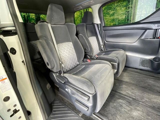 �㕔���Ȃ��C�ɂȂ�悤�ȃL�Y�E�����ւ��蓙�A�傫�ȃ_���[�W�͂Ȃ��A�ǍD�ȏ�Ԃł��B