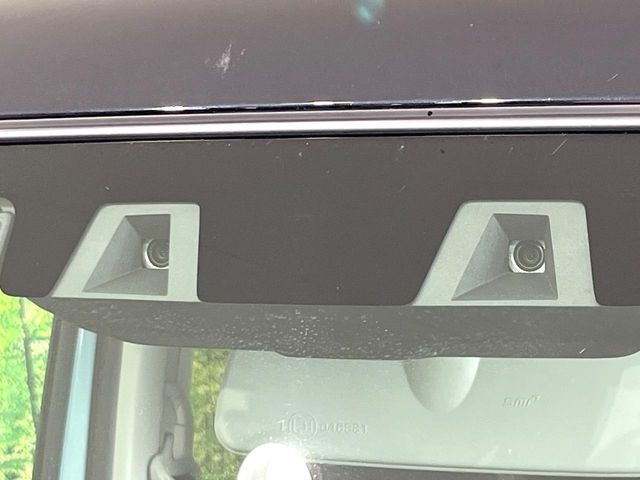 ハスラータフワイルド