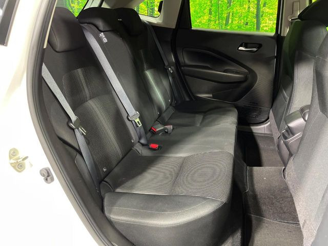 �㕔���Ȃ��C�ɂȂ�悤�ȃL�Y�E�����ւ��蓙�A�傫�ȃ_���[�W�͂Ȃ��A�ǍD�ȏ�Ԃł��B