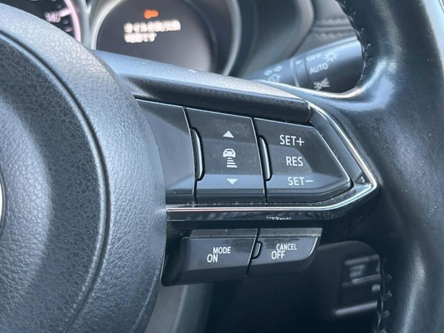 �y�}�c�_�E���[�_�[�N���[�Y�R���g���[���z�������H�ł̒��������s���y��!�����ő��x��ۂN���[�Y�R���g���[�����A�Փˌy���V�X�e���ƘA�g���A�O���̎ԗ������m���ĎԊԂ�ۂ悤�ɑ��x���߂��Ă���܂�!!