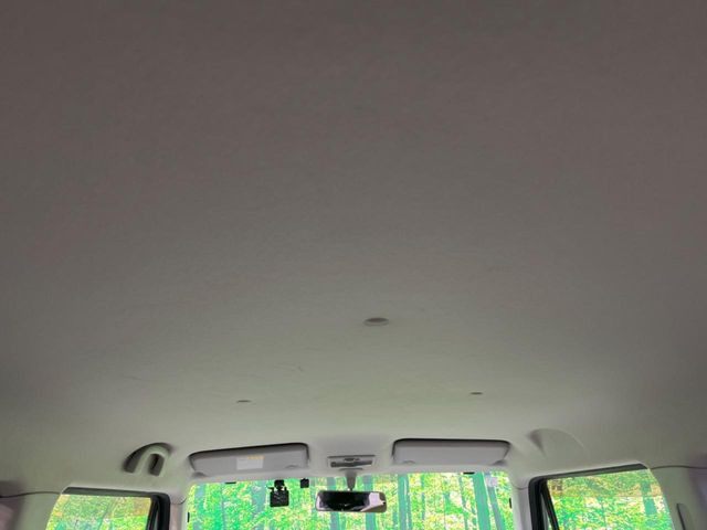 �㕔���Ȃ��C�ɂȂ�悤�ȃL�Y�E�����ւ��蓙�A�傫�ȃ_���[�W�͂Ȃ��A�ǍD�ȏ�Ԃł��B