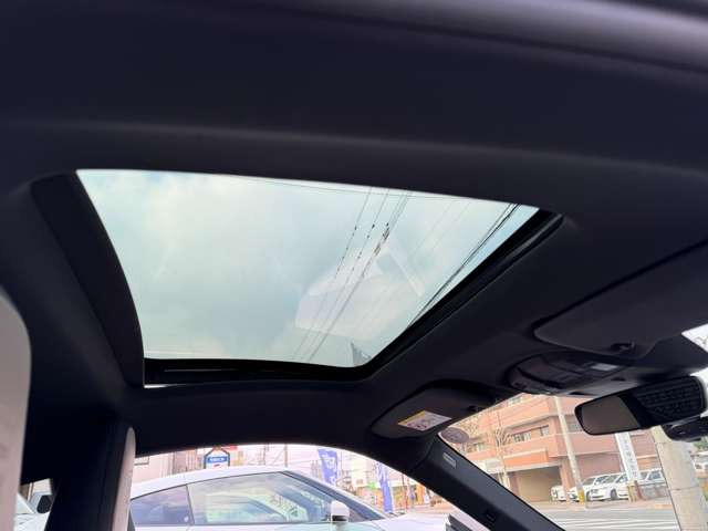 �y�I�v�V�����z�`���g&�X���C�h���d���K���X�T�����[�t(��337.000-)