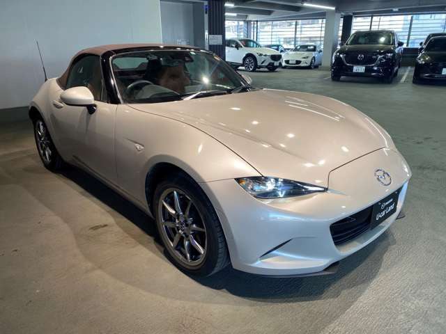 ロードスター1.5 ブラウン トップ