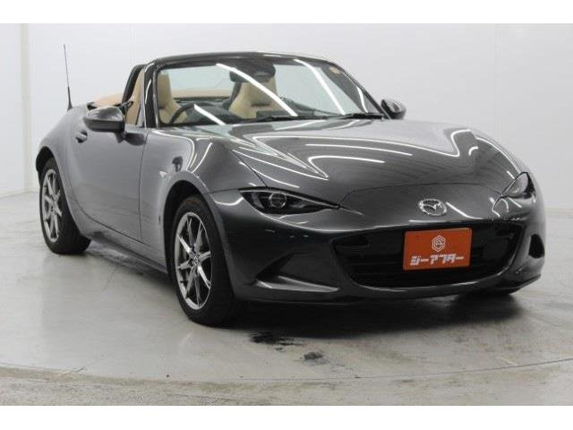 ���Ǝҗl�ւ̔̔��͂��f�肳���Ă��������܂��B �Ԍ������ԗ��̏ꍇ�́A�Ԍ����擾�������x�������z�ŕ\�����Ă���܂�