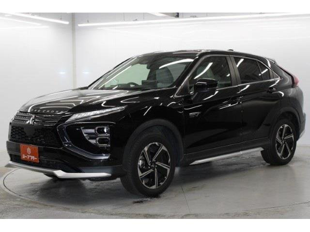 ���Ǝҗl�ւ̔̔��͂��f�肳���Ă��������܂��B �Ԍ������ԗ��̏ꍇ�́A�Ԍ����擾�������x�������z�ŕ\�����Ă���܂�