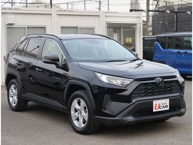 RAV42.0 X