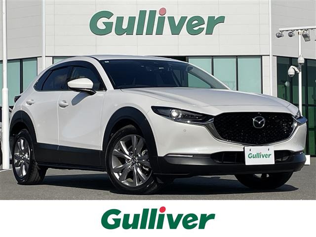 CX-301.8 XD Lパッケージ