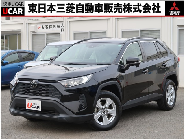 RAV42.0 X