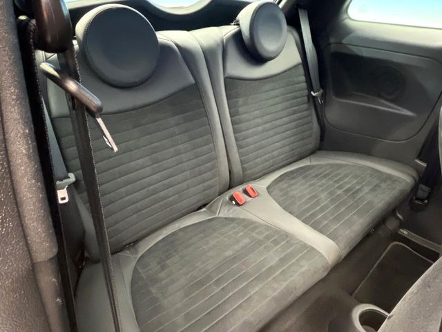 ���㕔���Ȃ��C�ɂȂ�悤�ȃL�Y�E�����ւ��蓙�A�傫�ȃ_���[�W�͂Ȃ��A�ǍD�ȏ�Ԃł��B