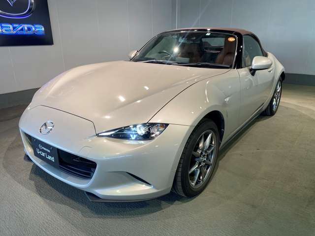 ロードスター1.5 ブラウン トップ