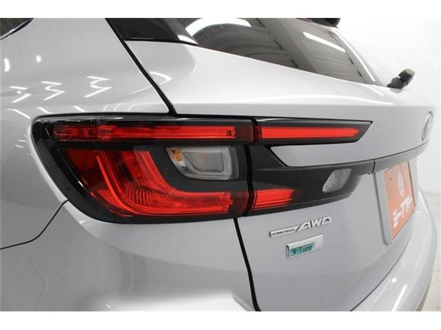 ���Ǝҗl�ւ̔̔��͂��f�肳���Ă��������܂��B �Ԍ������ԗ��̏ꍇ�́A�Ԍ����擾�������x�������z�ŕ\�����Ă���܂��B