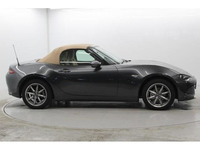 ���ЃI�[�g���[���͓����E�{�[�i�X�����s�v�B�Œ�84��܂ŉ\�ƂȂ��Ă���܂��B�R�������ł��\���܂���̂ł��C�y�ɂ����k�������B���Ђ͂��������j�b�Z�C���a���ۑ㗝�X�ł��B�S�c�ƎЈ����ی��̕�W�l���i����