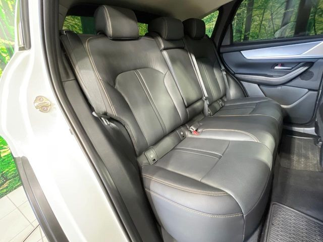 �㕔���Ȃ��C�ɂȂ�悤�ȃL�Y�E�����ւ��蓙�A�傫�ȃ_���[�W�͂Ȃ��A�ǍD�ȏ�Ԃł��B