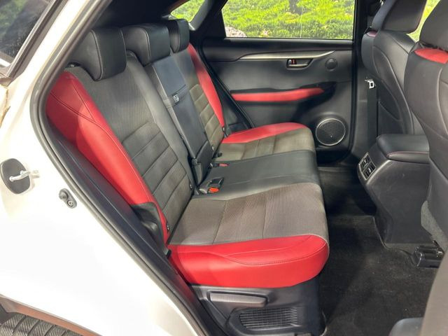 �㕔���Ȃ��C�ɂȂ�悤�ȃL�Y�E�����ւ��蓙�A�傫�ȃ_���[�W�͂Ȃ��A�ǍD�ȏ�Ԃł��B