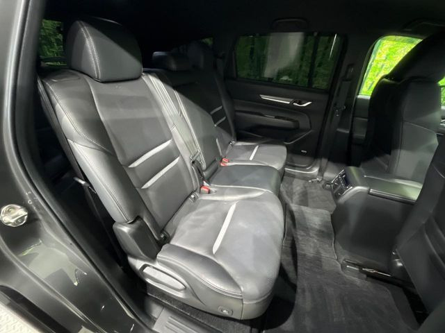 �㕔���Ȃ��C�ɂȂ�悤�ȃL�Y�E�����ւ��蓙�A�傫�ȃ_���[�W�͂Ȃ��A�ǍD�ȏ�Ԃł��B