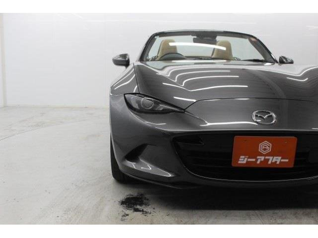 ���Ǝҗl�ւ̔̔��͂��f�肳���Ă��������܂��B �Ԍ������ԗ��̏ꍇ�́A�Ԍ����擾�������x�������z�ŕ\�����Ă���܂�