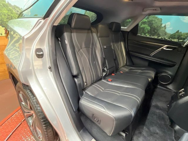 �㕔���Ȃ��C�ɂȂ�悤�ȃL�Y�E�����ւ��蓙�A�傫�ȃ_���[�W�͂Ȃ��A�ǍD�ȏ�Ԃł��B