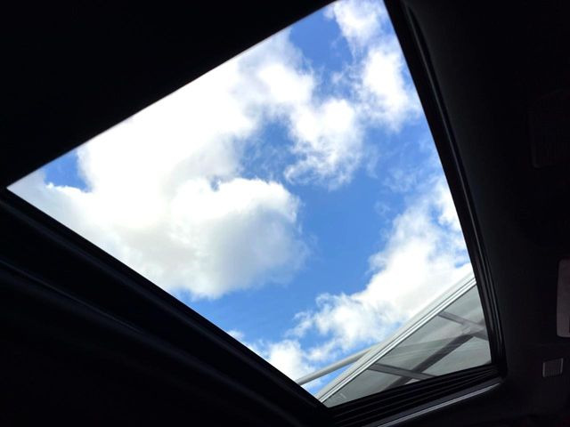 �y���[�����[�t�z�J���������Ղ�̊󏭑����A���[�����[�t����������Ă��܂�!�ԓ��ɖ�����������ꂽ��i�F���y���ވȊO�ɂ��A�ԓ��̋�C���ȒP�Ɋ��C�ł��ĉ��K�ł�!