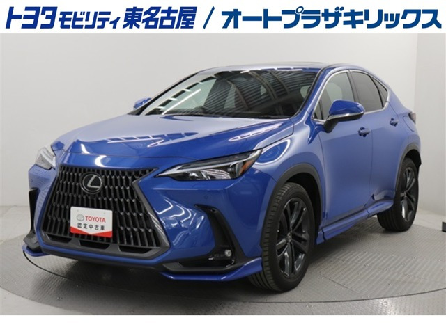 NX250 バージョンL 4WD
