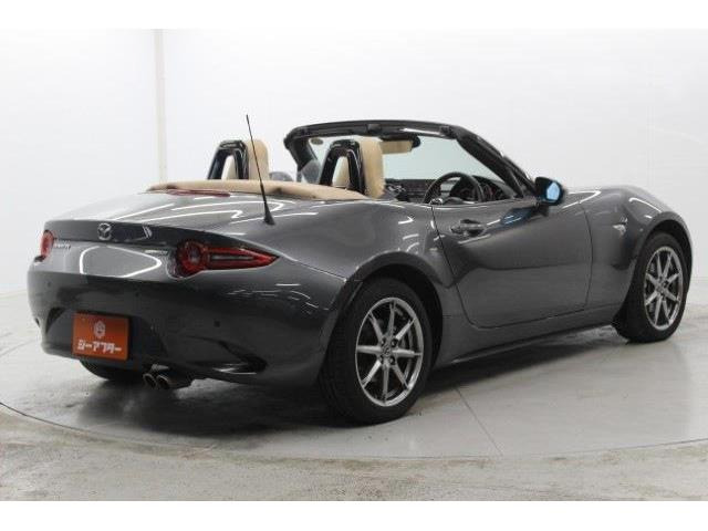 ���Ǝҗl�ւ̔̔��͂��f�肳���Ă��������܂��B �Ԍ������ԗ��̏ꍇ�́A�Ԍ����擾�������x�������z�ŕ\�����Ă���܂�