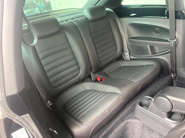 ���㕔���Ȃ��C�ɂȂ�悤�ȃL�Y�E�����ւ��蓙�A�傫�ȃ_���[�W�͂Ȃ��A�ǍD�ȏ�Ԃł��B