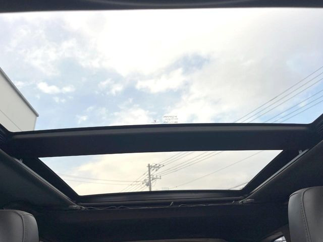 ���p�m���}�~�b�N�K���X���[�t:�唗�͂̃p�m���}���[�t�́A�㕔���Ȃɂ܂ő����Ă���A�J���I�ȋ�Ԃ����y���݂��������܂��B