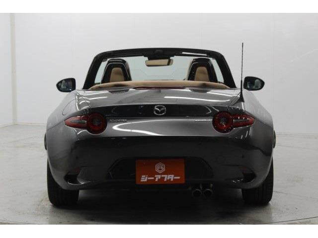 ���Ǝҗl�ւ̔̔��͂��f�肳���Ă��������܂��B �Ԍ������ԗ��̏ꍇ�́A�Ԍ����擾�������x�������z�ŕ\�����Ă���܂�