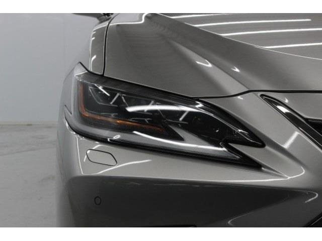 ���Ǝҗl�ւ̔̔��͂��f�肳���Ă��������܂��B �Ԍ������ԗ��̏ꍇ�́A�Ԍ����擾�������x�������z�ŕ\�����Ă���܂��B