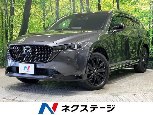 CX-8（マツダ）2.2 XD スポーツアピアランス 中古車画像