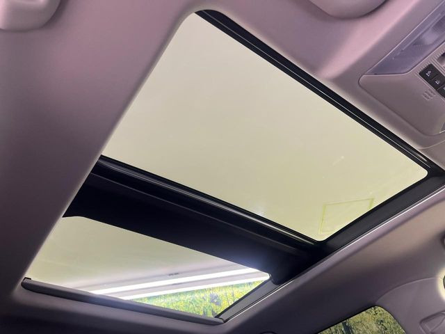 �y�T�����[�t�z�J���������Ղ�̊󏭑����A�T�����[�t����������Ă��܂�!�ԓ��ɖ�����������ꂽ��i�F���y���ވȊO�ɂ��A�ԓ��̋�C���ȒP�Ɋ��C�ł��ĉ��K�ł�!