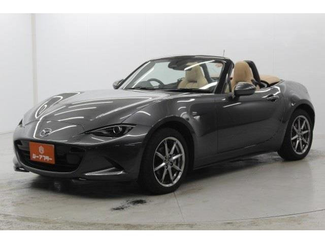 ���Ǝҗl�ւ̔̔��͂��f�肳���Ă��������܂��B �Ԍ������ԗ��̏ꍇ�́A�Ԍ����擾�������x�������z�ŕ\�����Ă���܂�