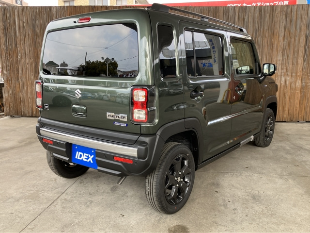 ハスラータフワイルド