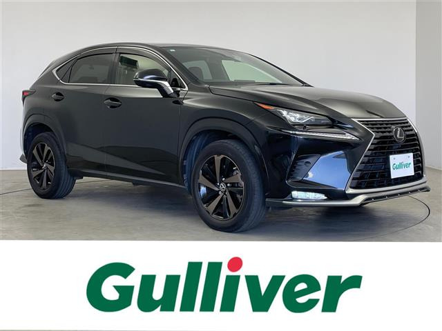 NX300 スパイス&amp;シック