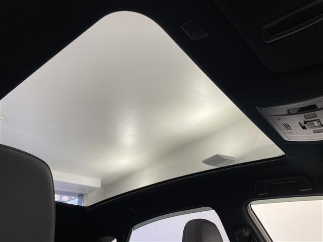 NX300 スパイス&amp;シック