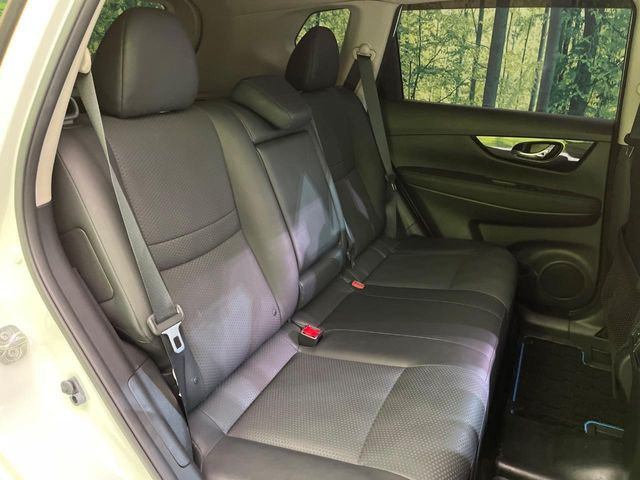 �㕔���Ȃ��C�ɂȂ�悤�ȃL�Y�E�����ւ��蓙�A�傫�ȃ_���[�W�͂Ȃ��A�ǍD�ȏ�Ԃł��B