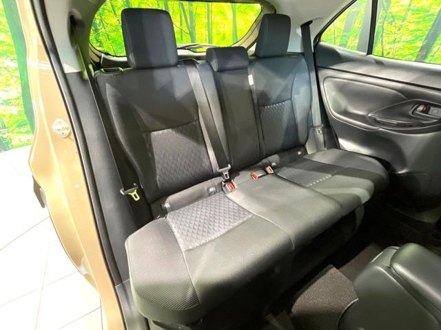 �㕔���Ȃ��C�ɂȂ�悤�ȃL�Y�E�����ւ��蓙�A�傫�ȃ_���[�W�͂Ȃ��A�ǍD�ȏ�Ԃł��B