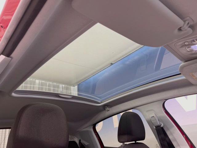 ���p�m���}�~�b�N�K���X���[�t:�唗�͂̃p�m���}���[�t�́A�㕔���Ȃɂ܂ő����Ă���A�J���I�ȋ�Ԃ����y���݂��������܂��B